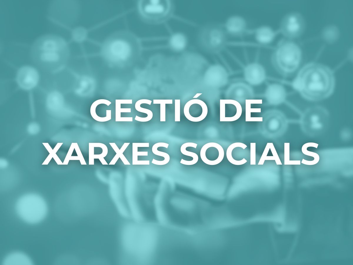 Gestió de Xarxes Socials